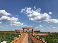 -白洋淀景区