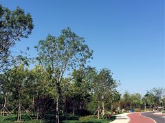 -武清南湖绿博园