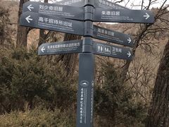 -延安杨家岭革命旧址