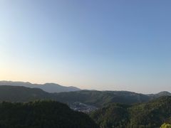 -桑洲油菜花景区