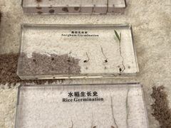 -二酉书店TOYOU BOOKS