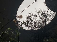 -黎里古镇
