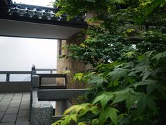 -莫干山风景区