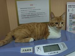 -谐和贝康宠物医院24小时·宠保定点(急重症转诊中心)