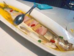 清蒸鸡汁白鱼-淮扬韵(高新大都荟店)