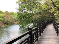 -白马涧龙池景区