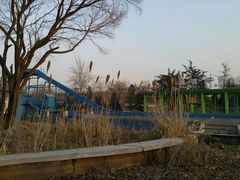 -北京石景山游乐园