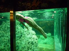 -肇庆奥威斯酒店