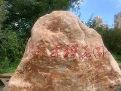 -长白岛森林公园