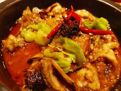 牛肝菌焖牛蛙-云海肴·汽锅鸡·云南菜(天山百盛优客店)