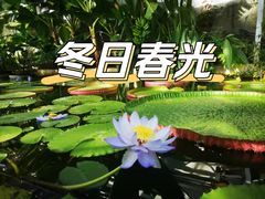 -国家植物园南园