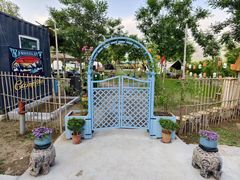 -Walker萌宠露营(大明骑士驿站店)