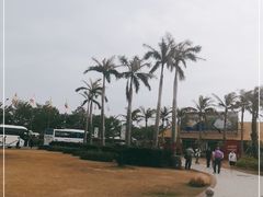 -亚龙湾国际玫瑰谷