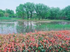 -西溪国家湿地公园
