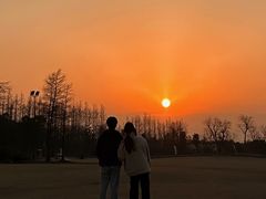 -上海长兴岛郊野公园