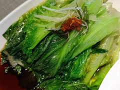 XO酱爆罗马生菜-有喜胶东小馆(太申祥和店)