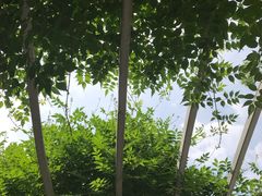 -蔚海之都·象山蒸汽海鲜(仙霞路店)