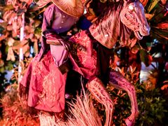 -深圳星河丽思卡尔顿酒店