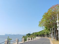 -深圳湾公园(南山区)
