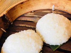 茨毛圆子-双塔老饭店