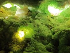 -湖南省地质博物馆