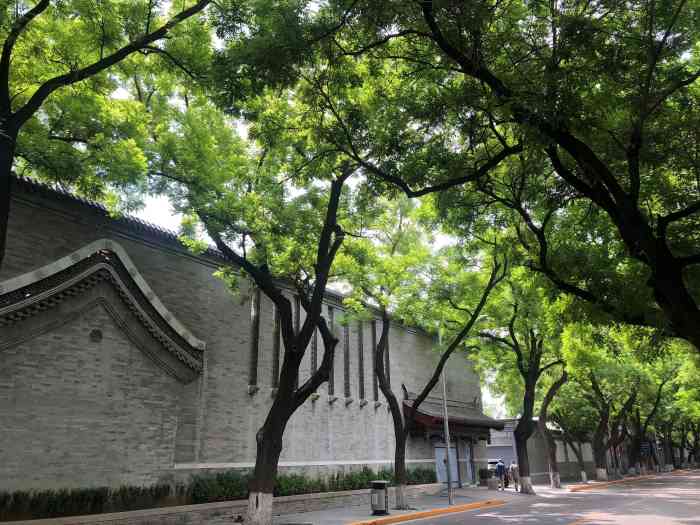 打分 几场雷雨后,天高云淡,走在枝繁叶茂的南池子大街上,静享老北京