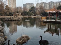 -西苑公园
