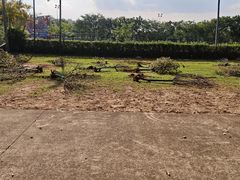 -观澜湖生态运动公社