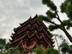 -黄鹤楼公园(黄鹤楼)