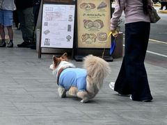 -Money Shops(愚园路店)