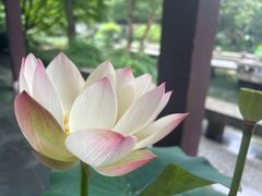 -杭州植物园