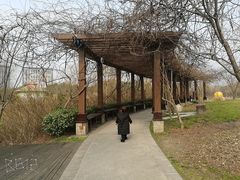 -自然谷恐龙园