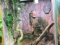-上海大自然野生昆虫馆(东方明珠·爬宠昆虫探索中心)
