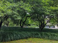 -浙江大学(玉泉校区)
