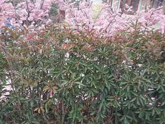 -郑州银基黄帝宫御温泉