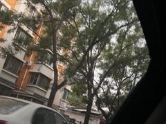 -十渡高山漂流