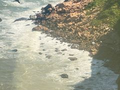 -摩天岭风景区