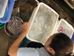 -寻味顺德·南记酒家·传统顺德菜·鱼生(广源路店)