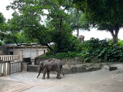 -深圳野生动物园