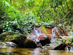 -梧桐山风景名胜区
