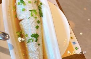 Yangtze River Knife Fish