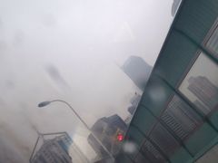 -同济大学附属口腔医院