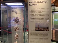 -珠海市博物馆