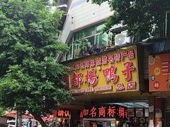 -绸都杨鸭子(总店)