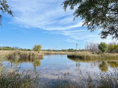 -野鸭湖国家湿地公园