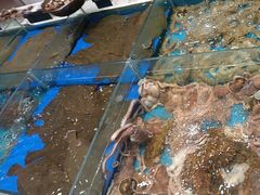 -映像威海·海鲜味道(经区店)