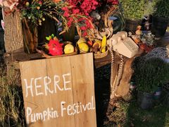 -HERRE·FARM 赫尔露营农场·团建聚会包场