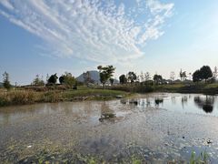 -田园东方蜜桃村的田野营地
