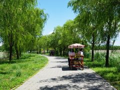 -野鸭湖国家湿地公园