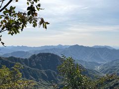 -大岭沟猕猴桃谷风景区